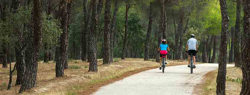 Paseo en bicicleta