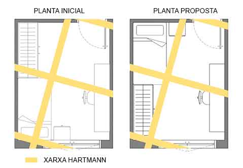 xarxa de Hartmann